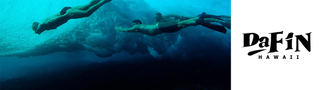 DaFin | Jack's Surfboards