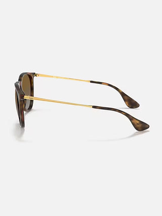 Ray-Ban RB4171 Erika Classic Sunglasses 