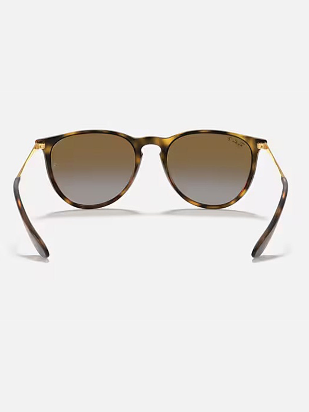 RB4171 Erika Classic Sunglasses – Jack's Surfboards