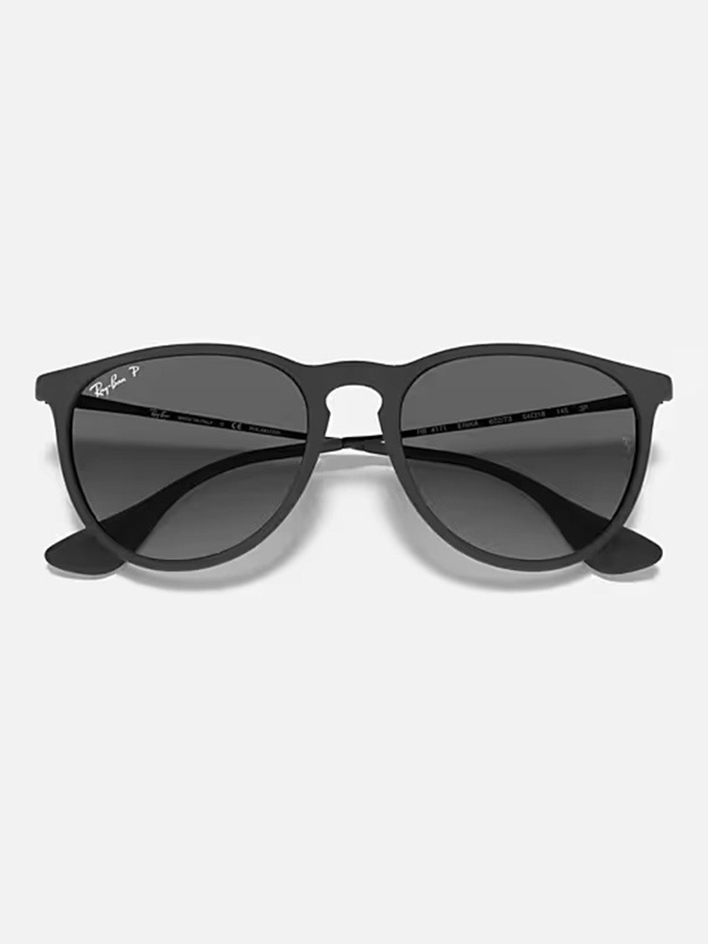 RB4171 Erika Classic Sunglasses – Jack's Surfboards