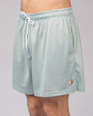 15" Palmer Short - Skyblue
