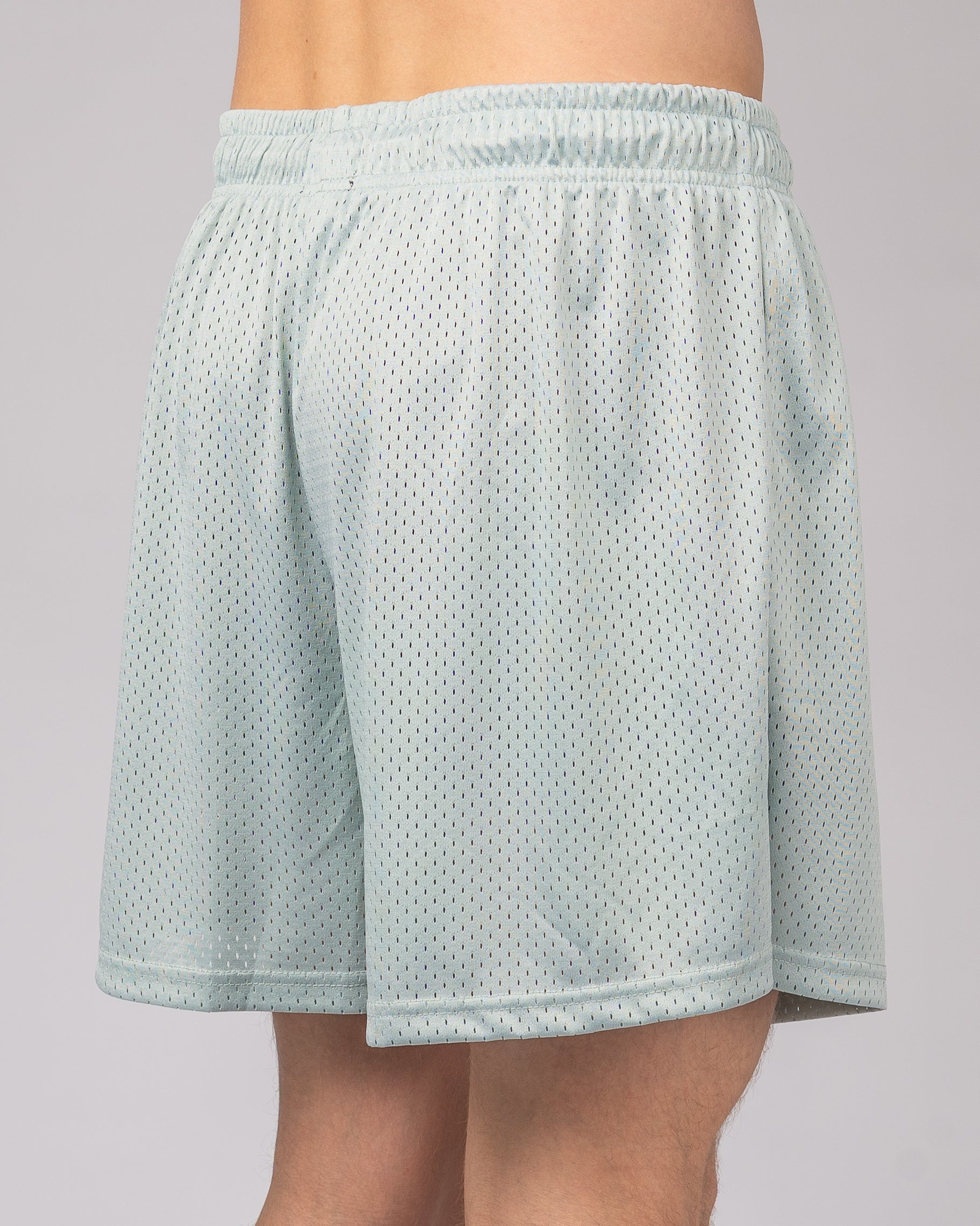15" Palmer Short - Skyblue