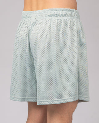 15" Palmer Short - Skyblue