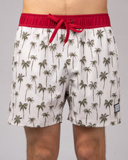 Jack's Surfboard Men's 16.5" Palm Volley Shorts