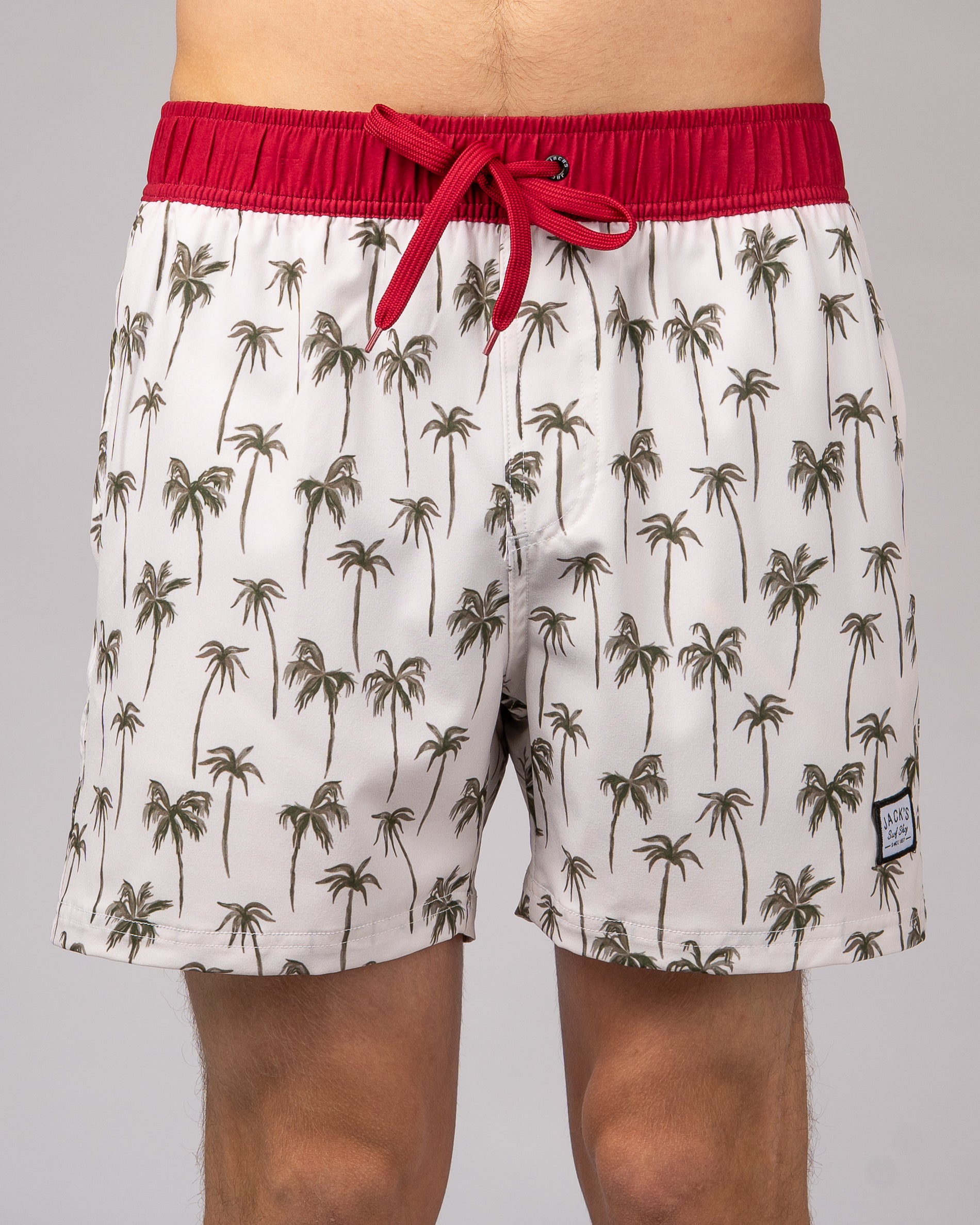 Jack's Surfboard Men's 16.5" Palm Volley Shorts