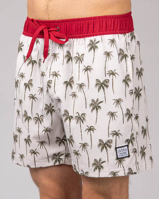 Jack's Surfboard Men's 16.5" Palm Volley Shorts