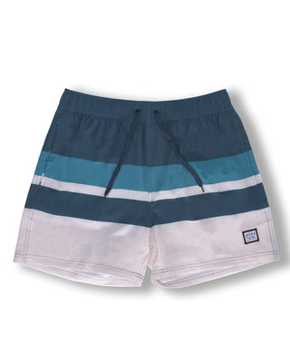 Jack's Surfboard Men's 17" River Volley Shorts
