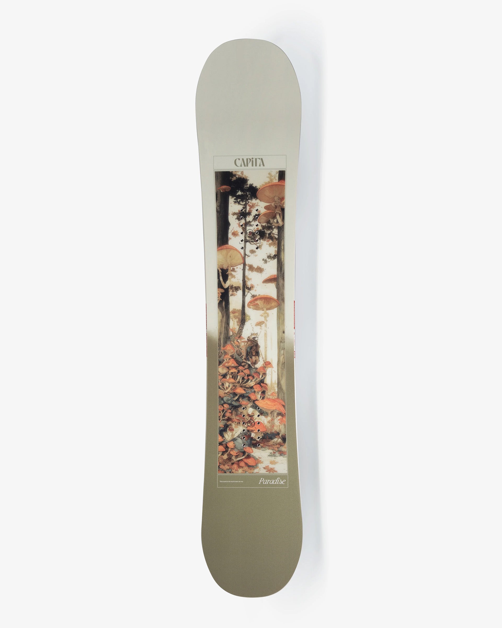 Women's Paradise Snowboard - 141 – Jack's Surfboards