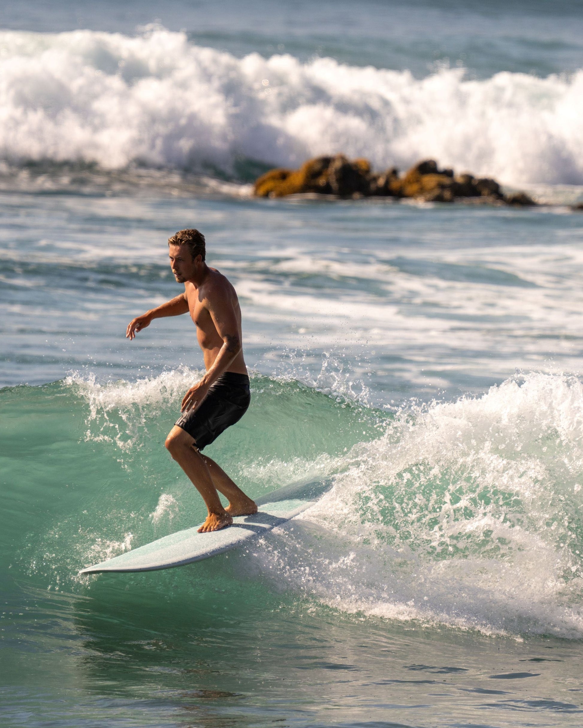 Wildcard 3 Surfboards Wayne Rich