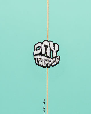 5'9 Day Tripper Fish - Aqua/White