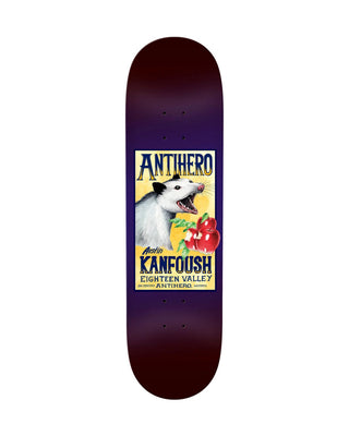 Anti-Hero Austin Kanfoush Homers 8.5" Deck