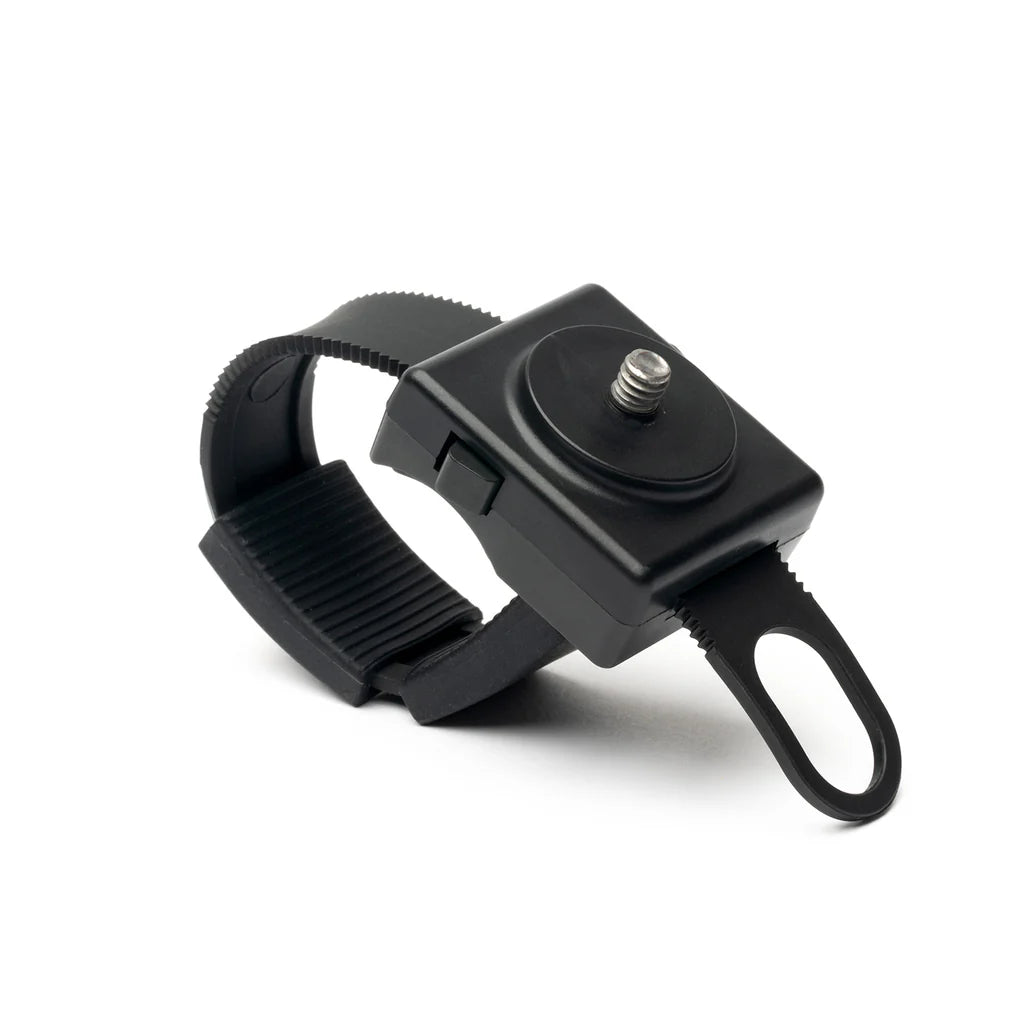 Speaqua The Pineapple Speaker