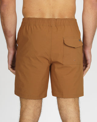 Ashton Boardshorts - Brown
