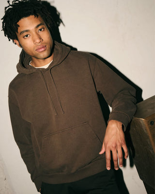 Brixton Baseline Pullover Hoodie - Walnut Brown Vintage Wash