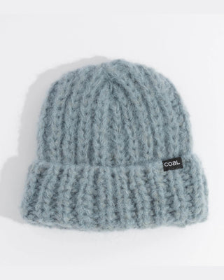 Coal Headwear The Ivy Thick Knit Beanie