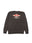 Pigment Black