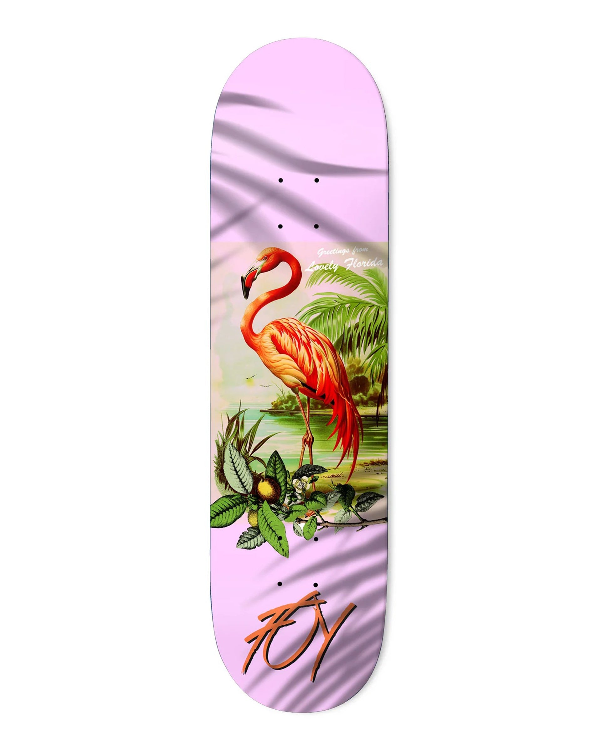 Deathwish Skateboards Foy Flamingo 8.0" Deck