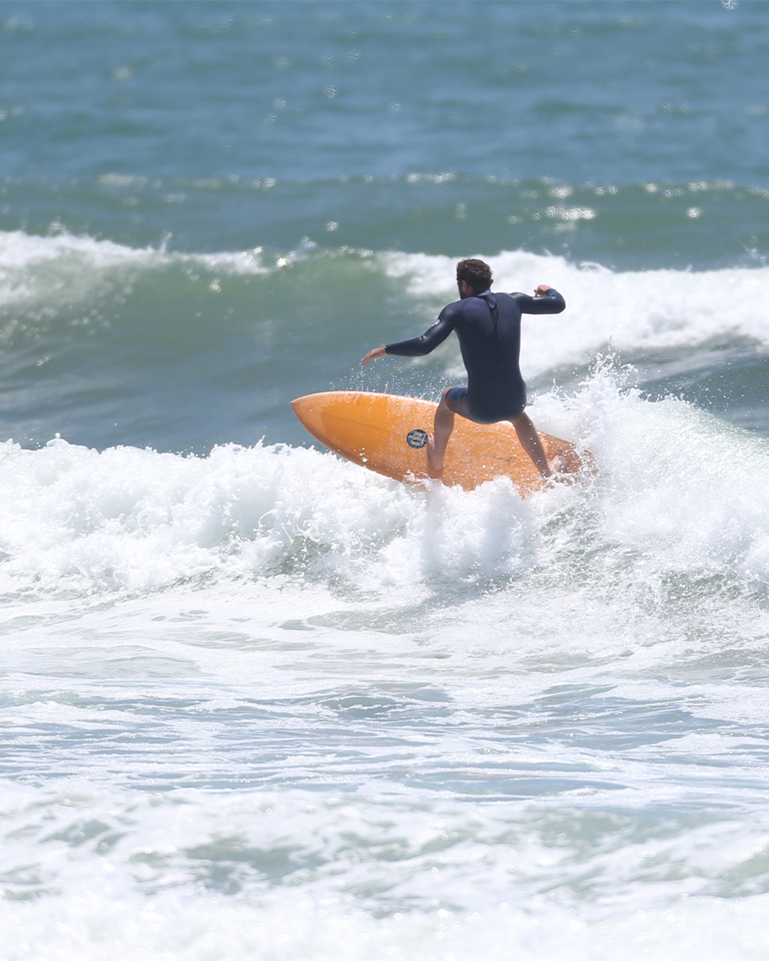 Roger Hinds Dream Fish Surfboard