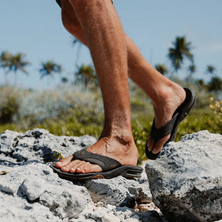 Reef Men's Fanning Sandal - Brown/Gum