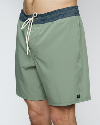 17" Davis Boardshorts