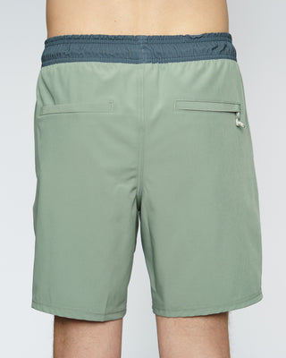 17" Davis Boardshorts