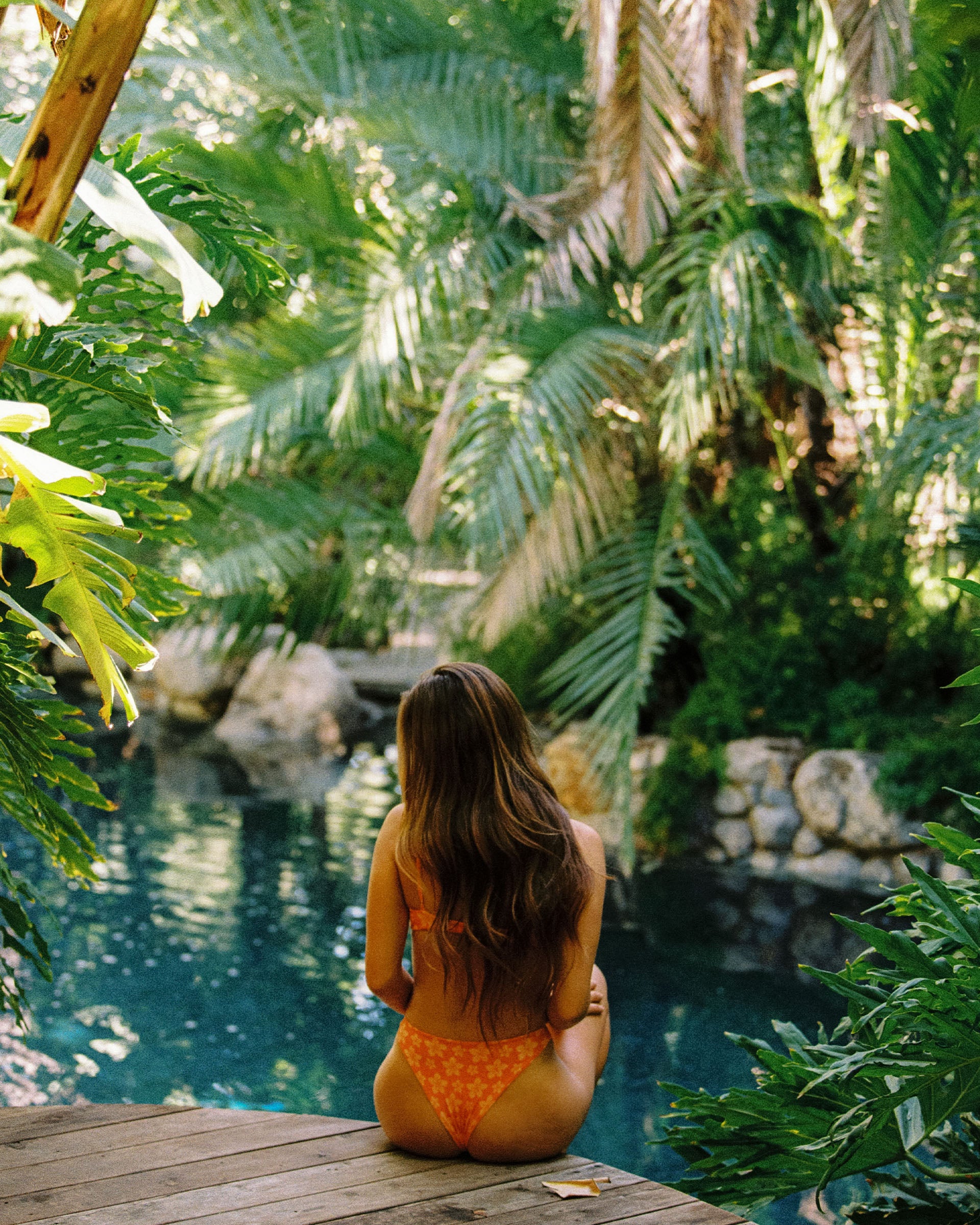 JS Swim Ellie Swim Top - Kea Print