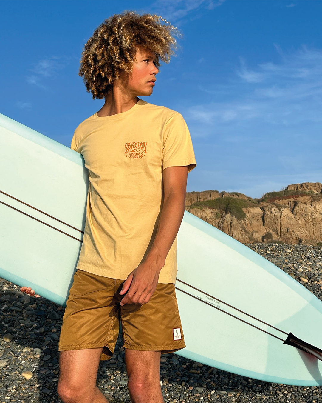 FAIRLANE BOARDSHORTS