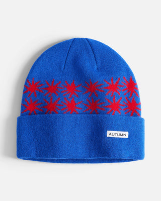 Autumn Craft Beanie