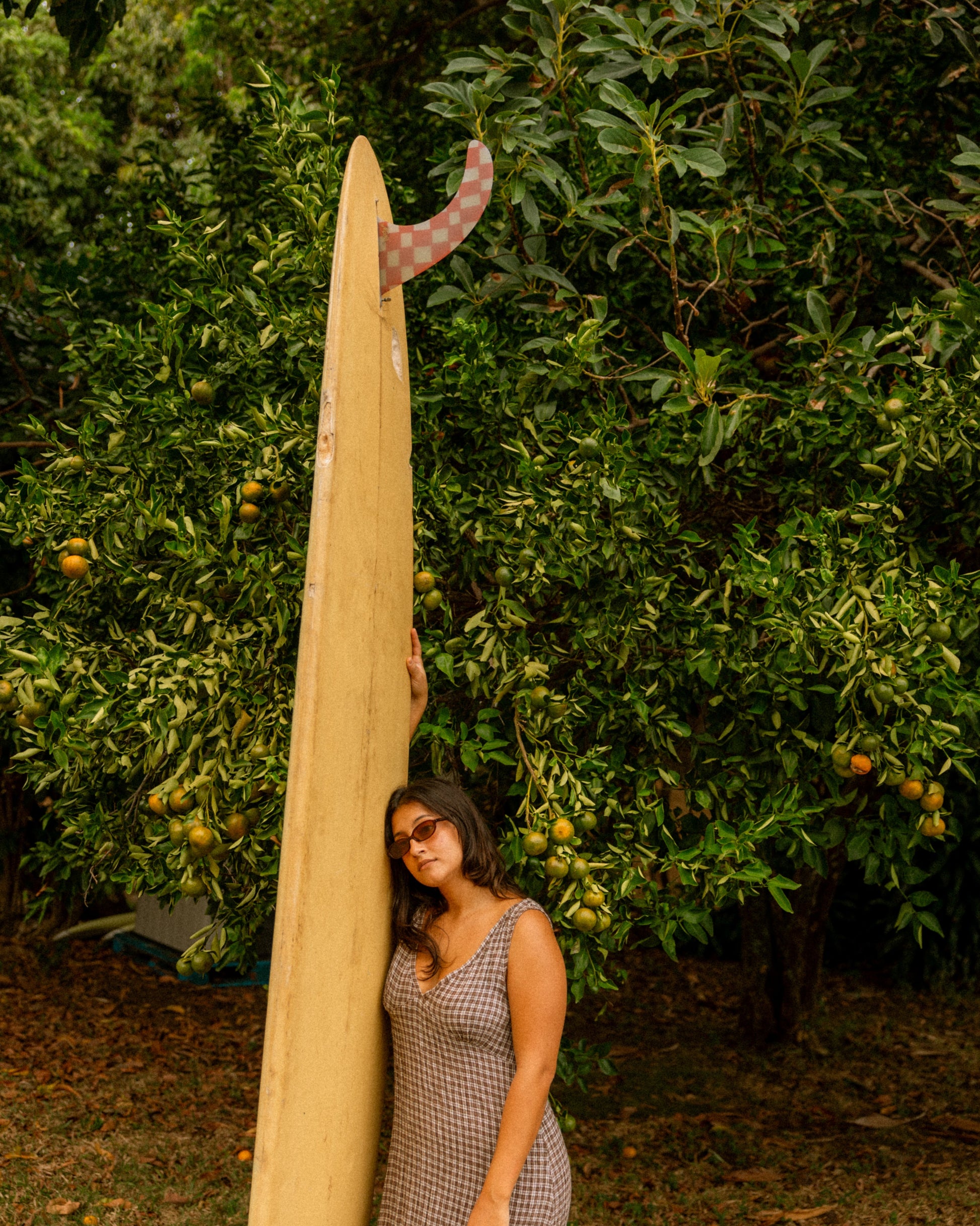 Mid Fin Co. Sunday Picnic- Banana Clip Single Fin