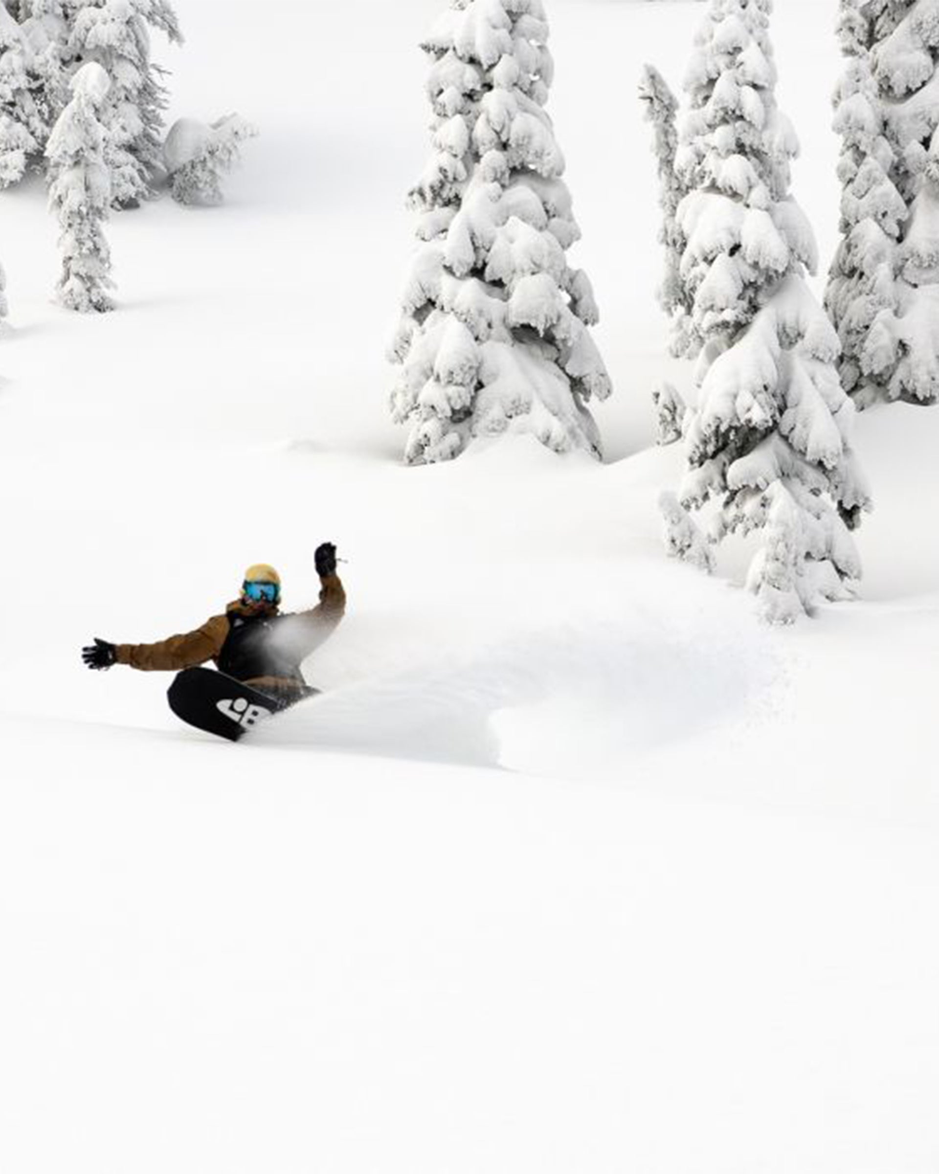 T.Rice Orca Snowboard - 156