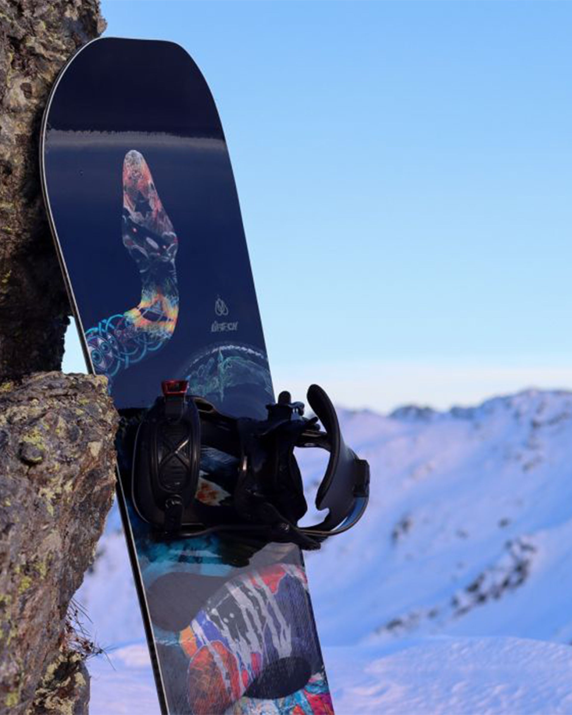 Lib-Tech T.Rice Pro Snowboard