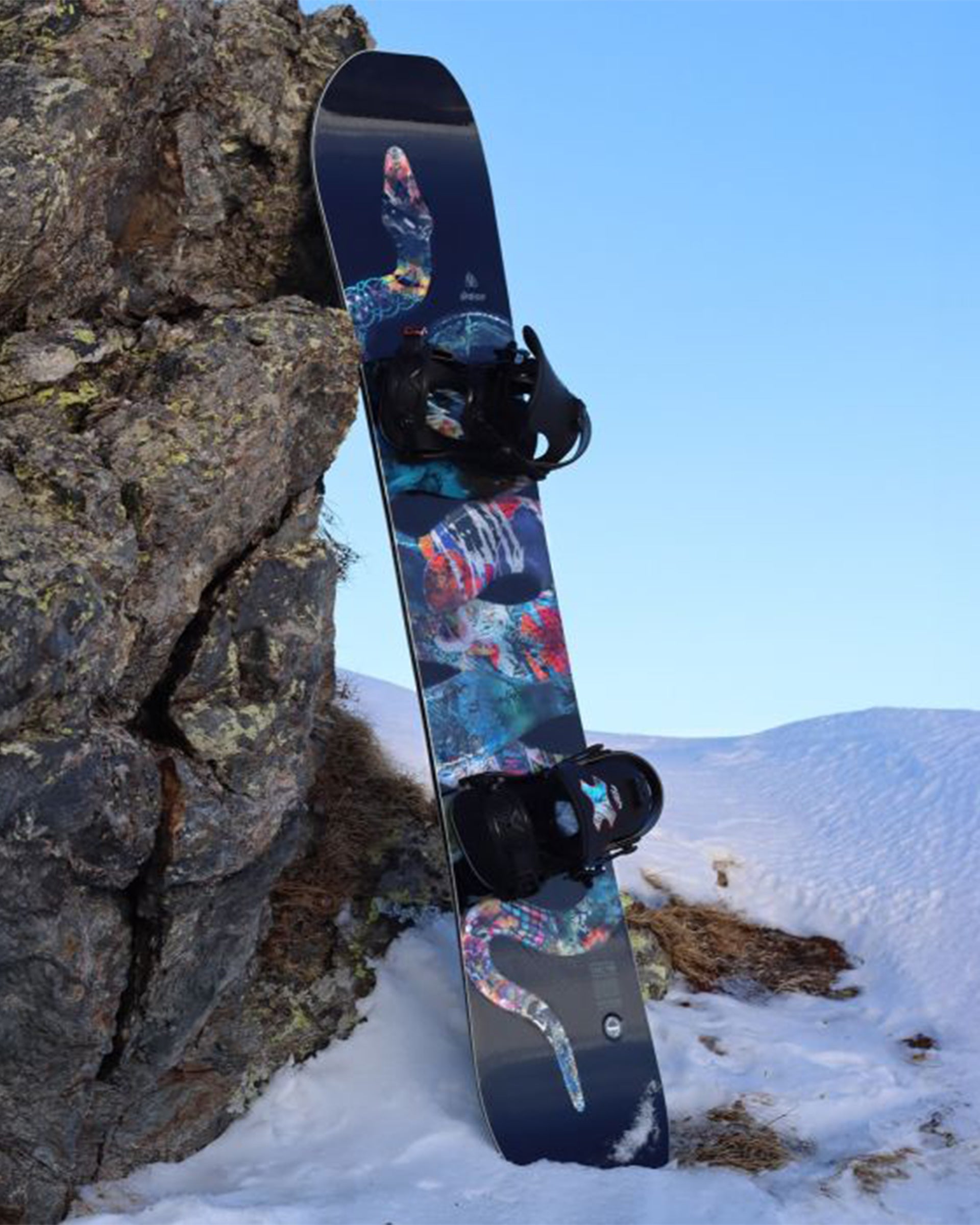 Lib-Tech T.Rice Pro Snowboard