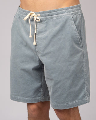 Latitude Shorts - Light Blue