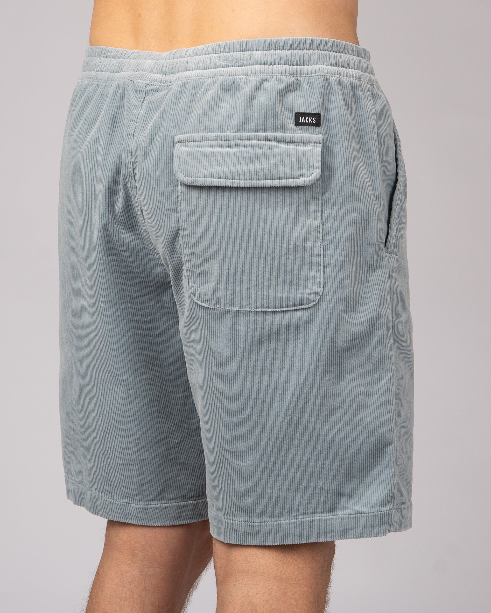 Latitude Shorts - Light Blue