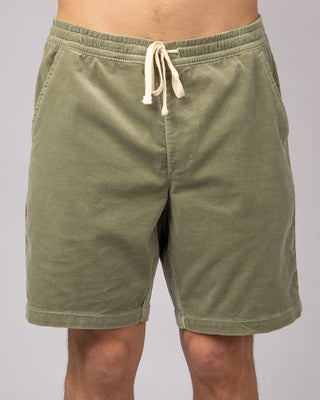 Latitude Shorts - Olive