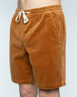 17.5" Latitude Cord Shorts - Brown