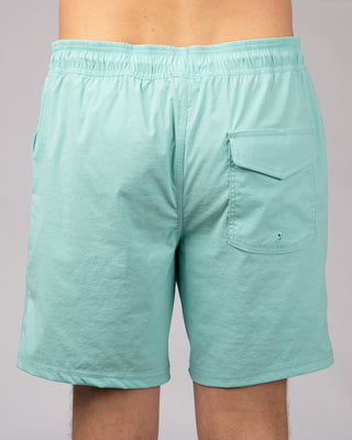 Ledge Boardshorts - Aqua