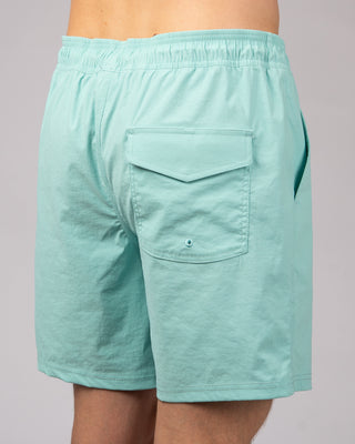 Ledge Boardshorts - Aqua