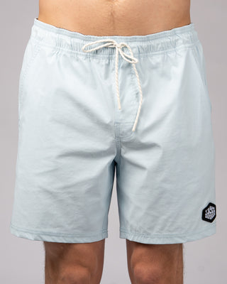 Ledge Boardshorts - Ice