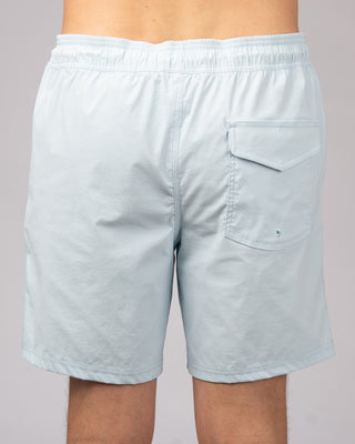 Ledge Boardshorts - Ice