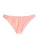 Soft Coral