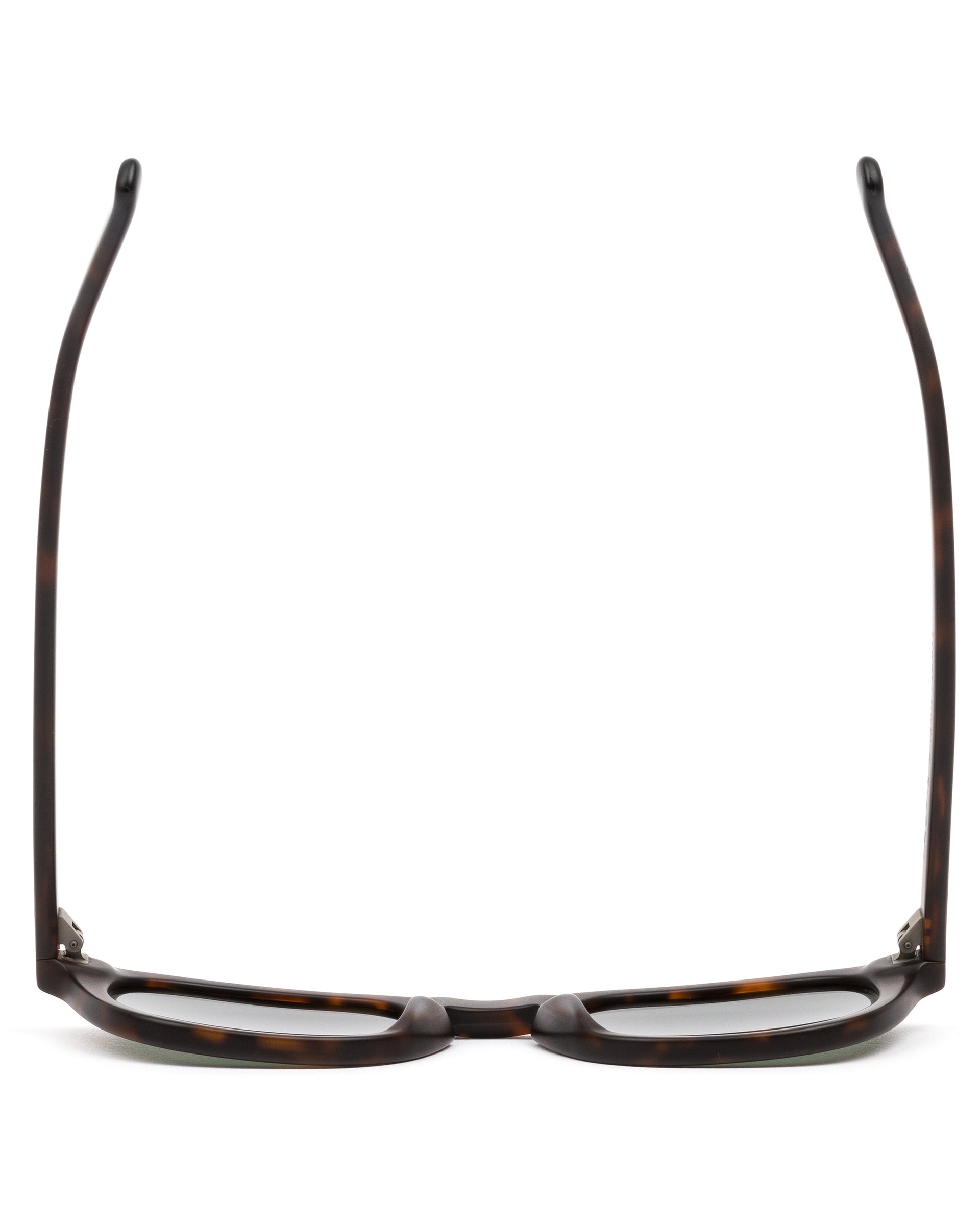 Otis Eyewear Outsider X Glasses - Eco Matte Hinton Tort