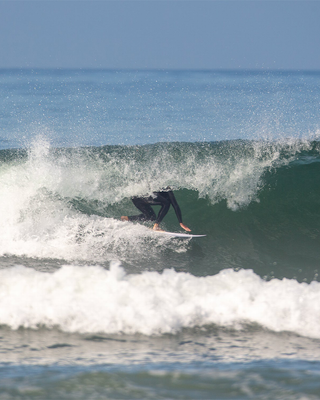 Wayne Rich Singularity - Pin Tail Surfboard