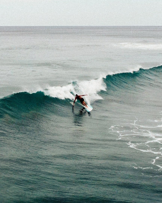 Roger Hinds Renaissance Surfboard