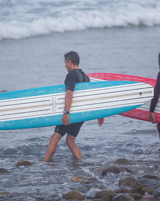 Roger Hinds Renaissance Surfboard