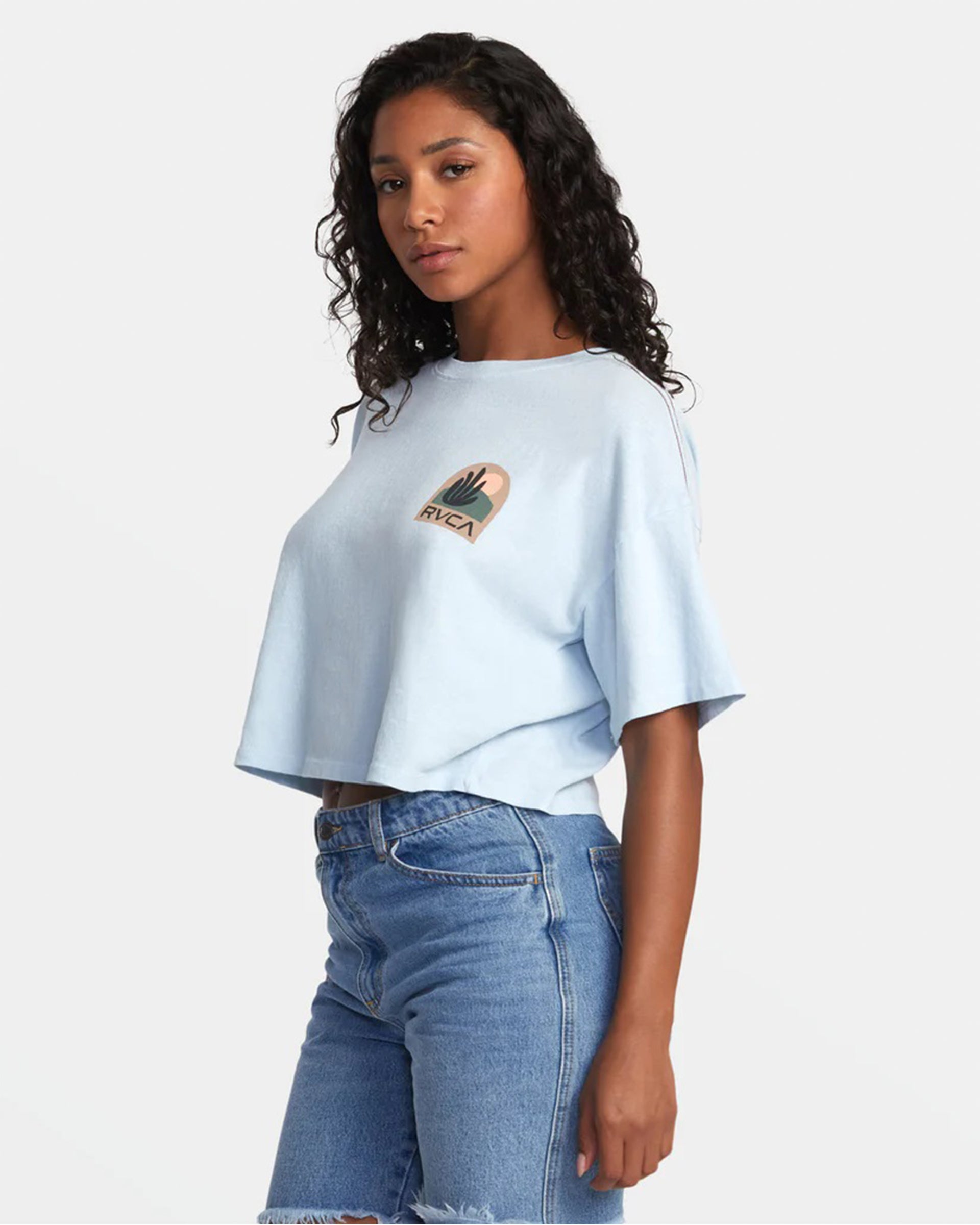 RVCA Women's Boyfriend Crop Tee 2