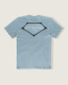 Ice Blue
