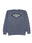 Pigment Slate Blue