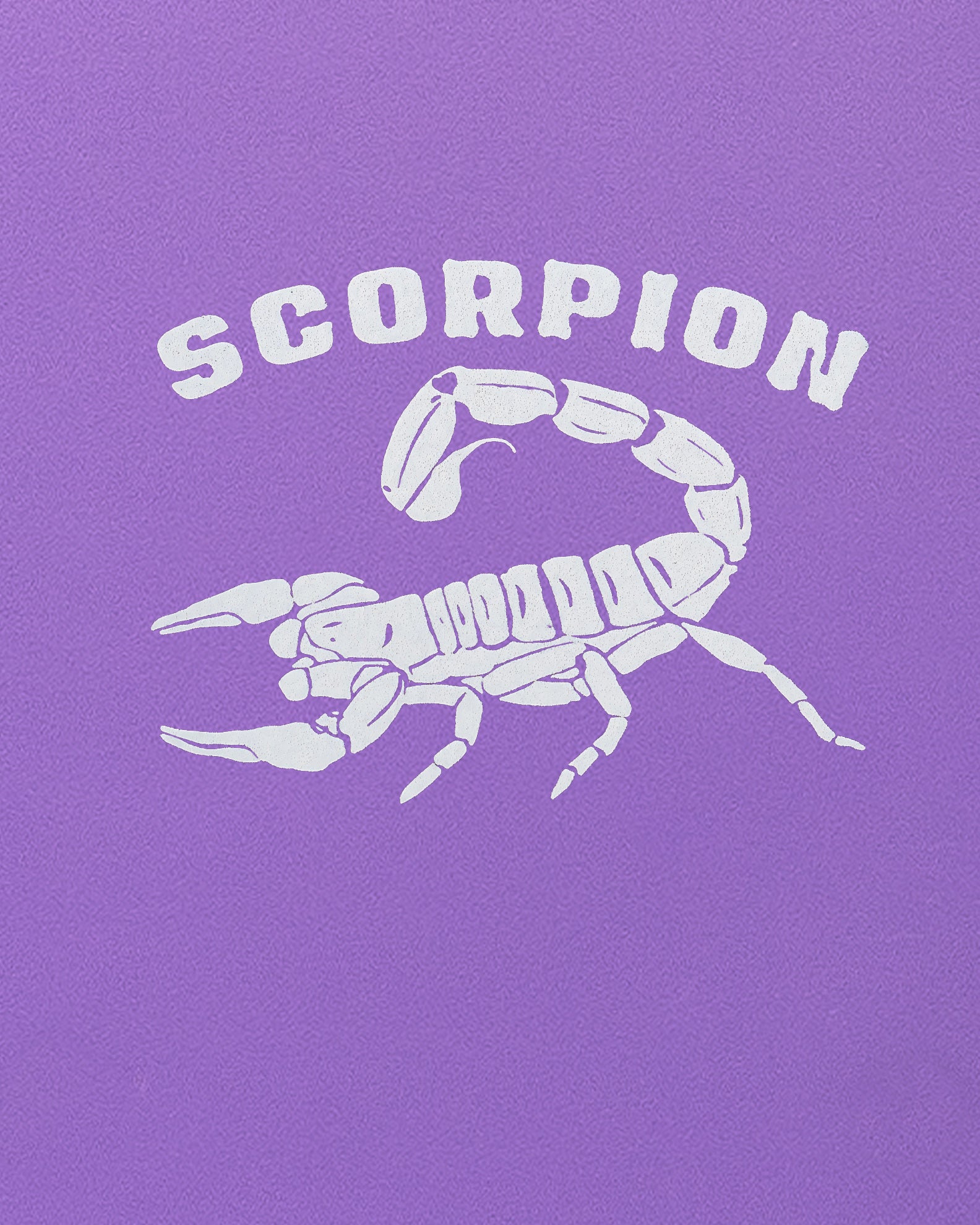 SCORPION 8'0 - Purple/Gray