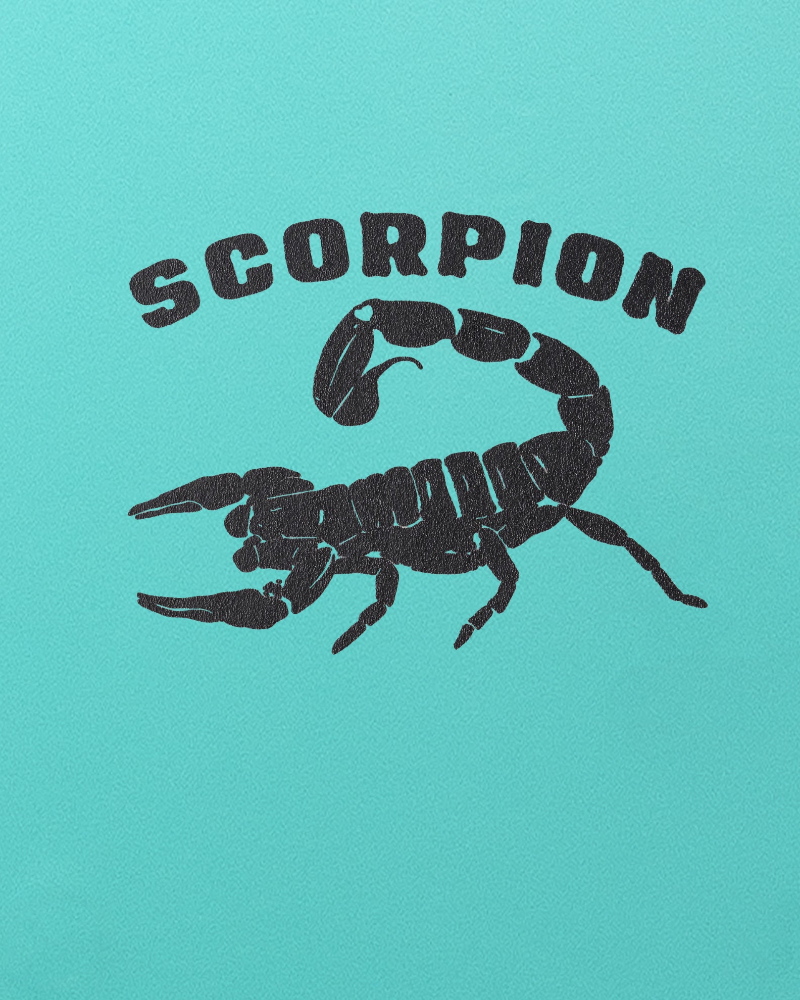 SCORPION 8'0 - Teal/Blue